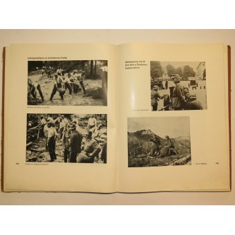 Le livre sur lallemand Gebirgsjäger « Bewaffnete Alpenheimat ». Espenlaub militaria